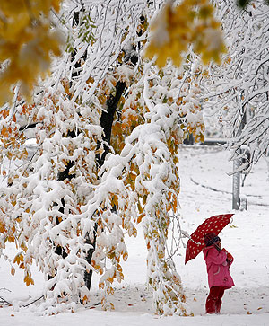 ������ ����