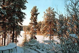 ��������-���������� ������� � �������