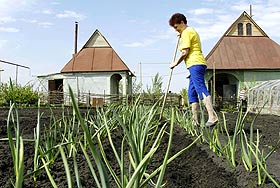 ������ �� ������ ��������