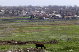 �������, ��������� ����� ������ �����, ������ �������