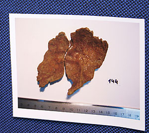 Тайны царских останков Тайны царских останков