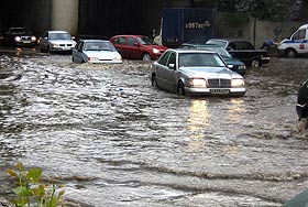 ��� ������ ���������� �����