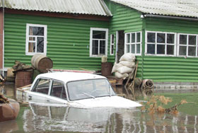 ������ ������