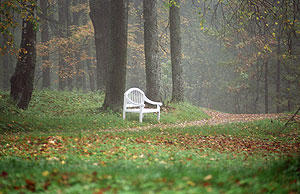 ����������� ���� �� �����