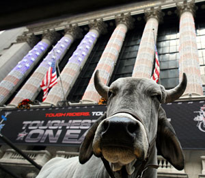 ����� ���������� �� �����