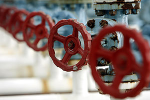 ������� ����: RosUkrEnergo ������ ����