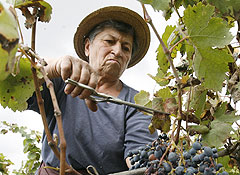 Тбилиси заявляет о попрании прав грузин в Абхазии Тбилиси заявляет о попрании прав грузин в Абхазии