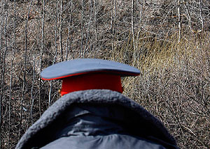 ���������� ������������� � �������� ����