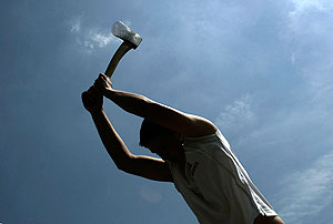 ��� ������ �����