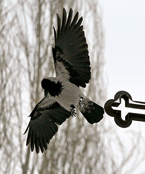 ��� ������� �����, ��� ����������� �������� �����