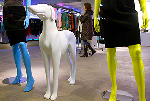 ���� ������ � ������