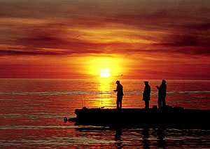 "���������" ������ � �����