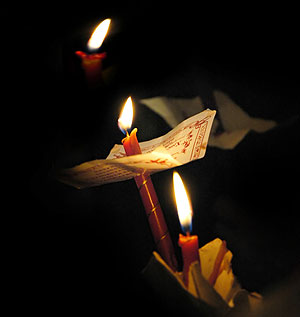 ���� ����. ��� ���������