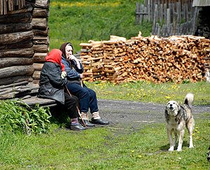 ��� ������ �����