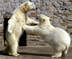 ������, �����, �����