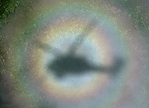 � ������� �� �����