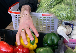 ������ �����: �������� ���