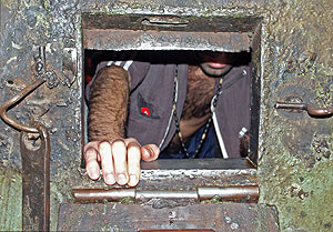 ��� ������ �����