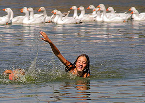 ��������� �����������