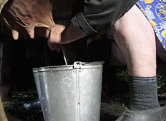 ���������� ������� ��������������