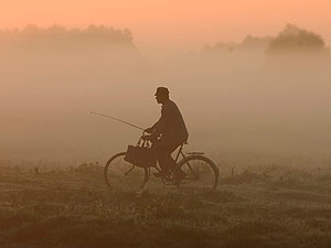 ��� ������ �����