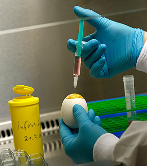    570   A/H1N1