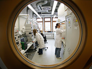 ����� �������