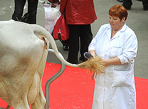 2009: �� "������ ����" � ��������