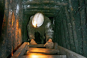 ���� "����������"