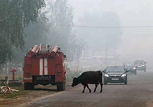 Огонь, уйди от нас Огонь, уйди от нас