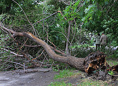 ������, �������������� ������