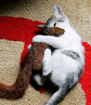 Это просто жизнь Это просто жизнь