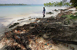 ���� ����������� ���� �����