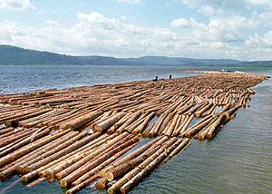 ��������� �������������