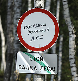 Химкинский лес: от вырубки к обсуждению Химкинский лес: от вырубки к обсуждению