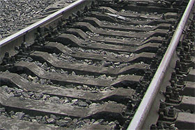 ��� ������ �����