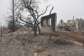 ����� � �����