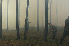 ����� ������ ��������