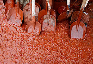 Отравленный Дунай. Фото Отравленный Дунай. Фото