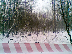 Фрагменты Ан-22 в Тульском лесу Фрагменты Ан-22 в Тульском лесу