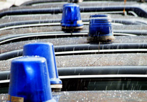 ��� �� ��������: ������ ����������