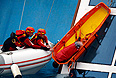          29         Costa Concordia.     14  ,   ,   ,        ,   ,      .