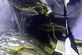          29         Costa Concordia.     14  ,   ,   ,        ,   ,      .