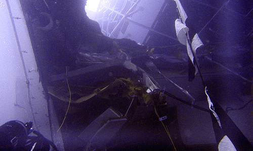          29         Costa Concordia.     14  ,   ,   ,        ,   ,      .