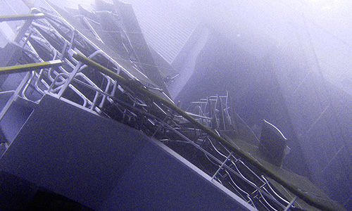          29         Costa Concordia.     14  ,   ,   ,        ,   ,      .