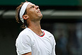             .        Wimbledon-2013, ,      ,    135-     .