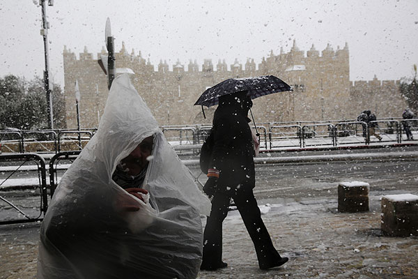 ������ ������ �� ����� �������� ������ �������. ��������� ������������� ������� ��������� ������������ �� ������� �� ����������� �� ��������� ������. �� ������ ������������������ ������, � ���������� ������ �� 30 �� 50 ����������� �����.