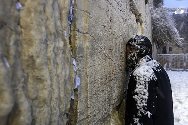 ����� �����.