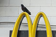    McDonalds  ,    .