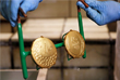 На Олимпиаде разыгрывается рекордное количество комплектов медалей (306). На одной стороне медали изображена греческая богиня победы Ника, на другой - эмблема Рио-2016. Все награды изготавливаются из экологически чистых материалов, частично – из переработанных. Ленты для медалей сделаны из переработанных пластиковых бутылок.
